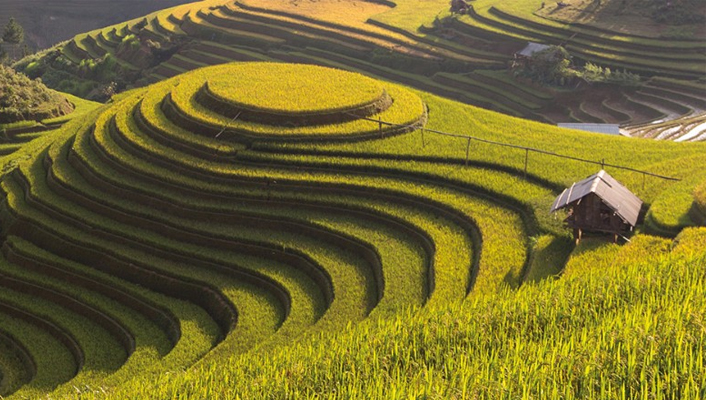 Vietnam Classic Tour 12 days