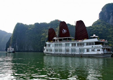 Halong Pelican Cruise